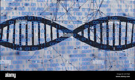 Image result for Coding Strand Transcription