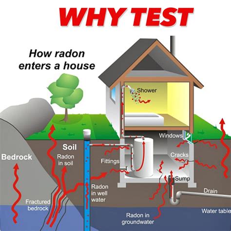 Pro Lab Radon Test Kit 的图像结果