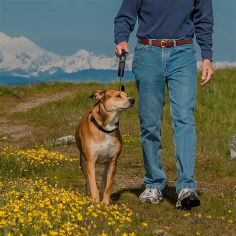 Can you reverse arthritis?