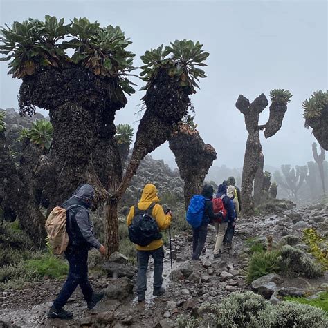 How high is Kilimanjaro in Feet and Meters - Kilimanjaro National Park