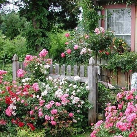 Small Cottage Gardens 的图像结果