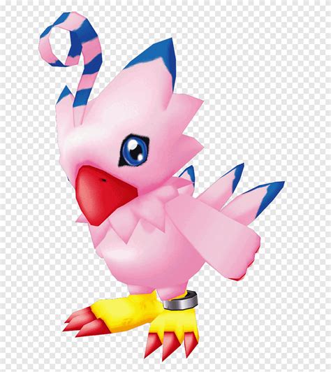 Biyomon Gabumon Agumon Sora Takenouchi Patamon, Biyomon, vertebrate ...