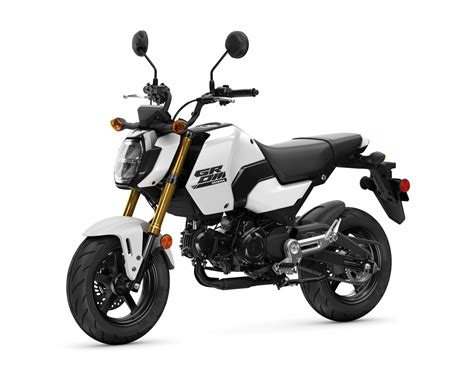 2025 Honda Grom ABS Review • Total Motorcycle