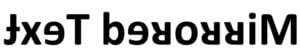 Image result for Mirrored Text
