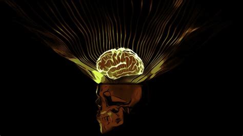 Brain ColorAnimation CGI 的图像结果