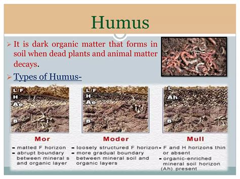Soil and its type ppt | PPTX