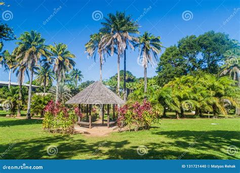 Botanical Garden in Cayenne, Capital of French Guia Stock Photo - Image of color, botany: 131721440