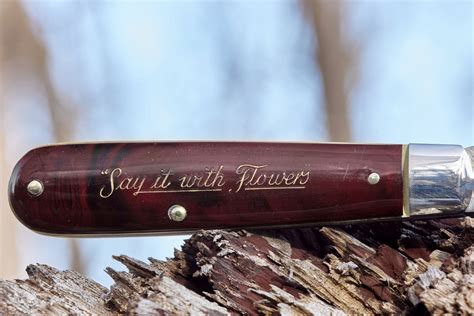 Schrade Walden 175 Pocket Knife