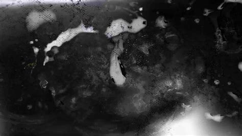 Image result for Retro Square Overlay