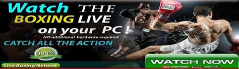 Image result for How to Watch Boxing