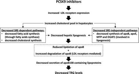 Effects of PCSK9 Inhibitors on Other than Low-Density Lipoprotein Cholesterol Lipid Variables ...