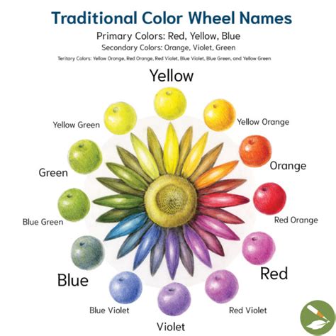 Color Draw 的图像结果