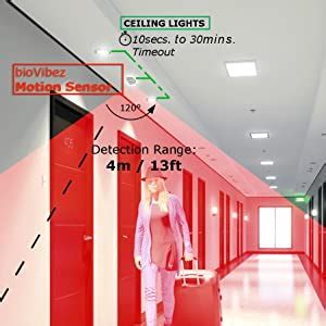 bioVibez MP-AC1-R2 gen2 -PIR/LUX Motion Sensor Switch Light Detector ...