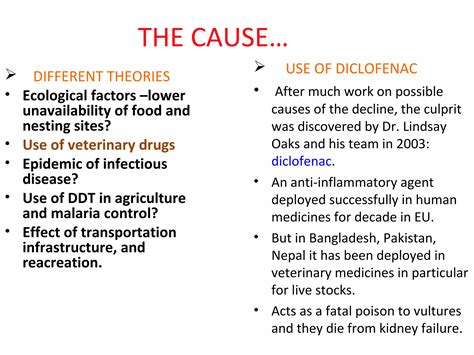 Vulture awareness day presentation | PPT