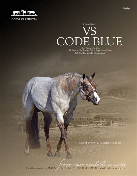 Image result for vs Code Blue Baby