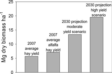 Perennial Forages as Second Generation Bioenergy Crops