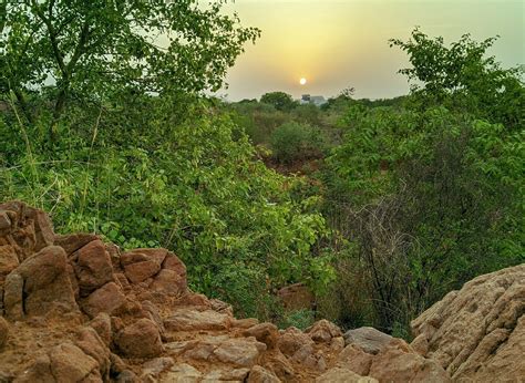 ARAVALI BIODIVERSITY PARK - All You Need to Know BEFORE You Go 2026 ...