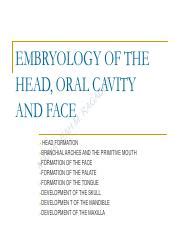 Image result for Embryo Face Formation