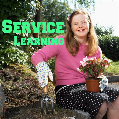 Service Learning 的图像结果