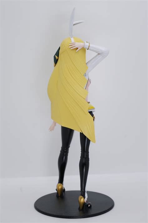 ⏪ Lusamine - Reverse Bunny Suit (Pokemon Sun/Moon)・Free 3D File for 3D ...