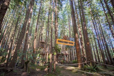 Film & Photo Location in Stunning Redmond Forest with Climb-In Theater ...