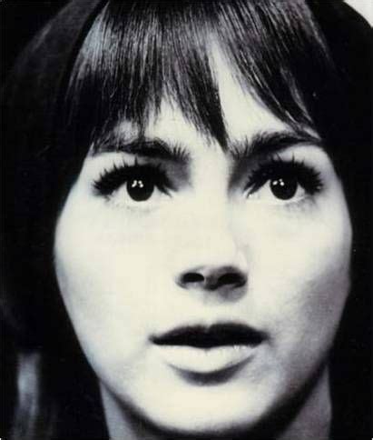 Image result for Mexican Patsy