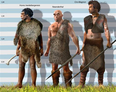 Neanderthal Vs Cro Magnon