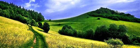 Home - Lila Agrotech