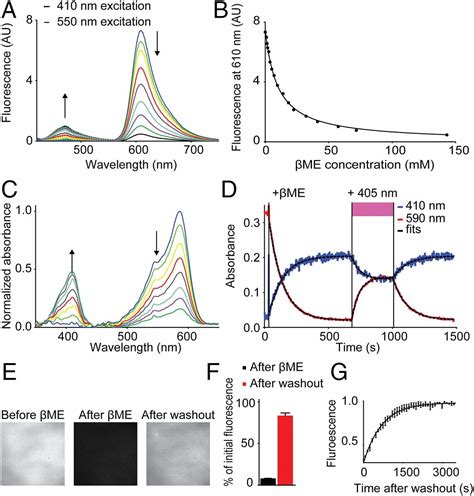 Efficient switching of mCherry fluorescence using chemical caging | PNAS