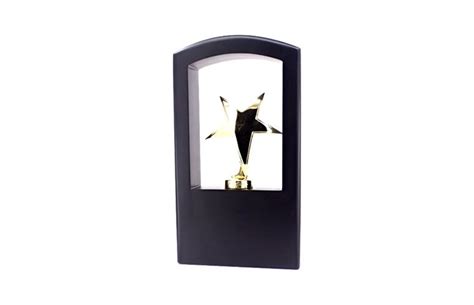 Custom Metal Star Trophy | Personalised Metal Award with Logo & Name
