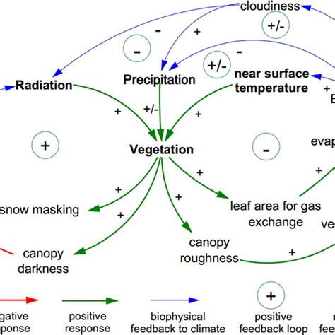 Image result for Negative Feedback Ecosystem
