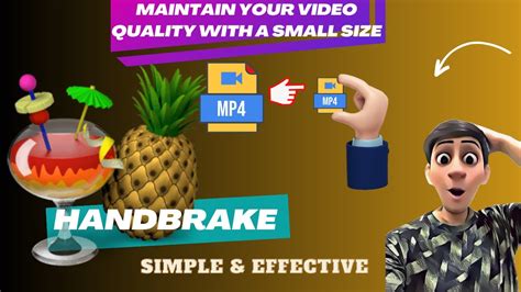 Image result for Crop Video Using Hand Brake