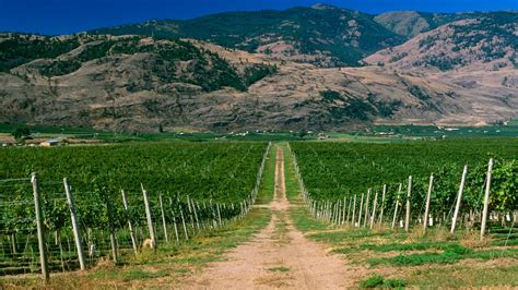 Hotels in Osoyoos from ₹ 4,873 - Find Cheap Hotels with momondo