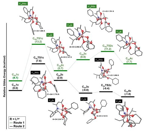 Mechanistic Insight into the Ring-Opening Polymerization of ε ...