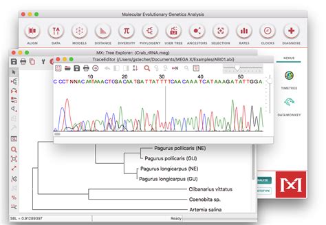 Mega Software Installation 的图像结果