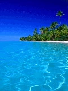 Image result for Boolean JavaScript CodeHS