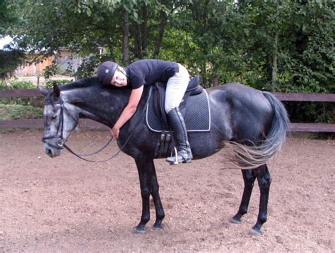 Image result for Quadrants of Operant Conditioning