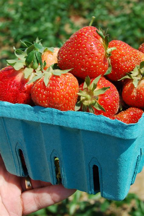 Image result for Spring and Spring Boot Fruits Example