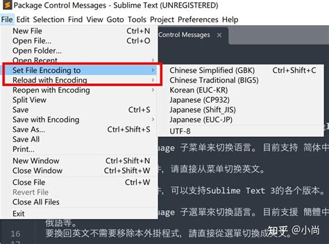 Sublime Text Format Code 的图像结果
