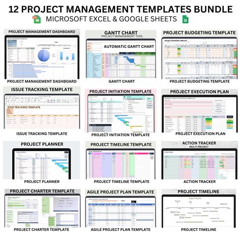 Image result for Project Management Issues List Example