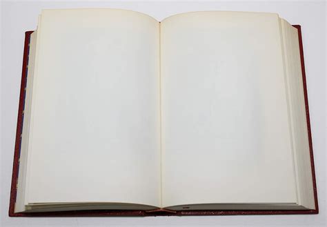 Buy Good Indian Child'S Guide -Mangoes Book Online at Low Prices in ...