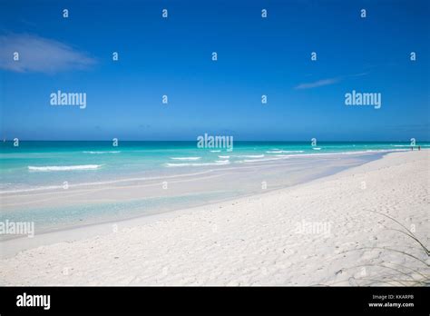 pugnalata folla mossa webcam cayo santa maria perditi cravatta Evoluzione