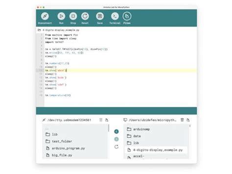 Python with Arduino IDE 的图像结果