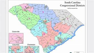 Image result for South Carolina voting map revived