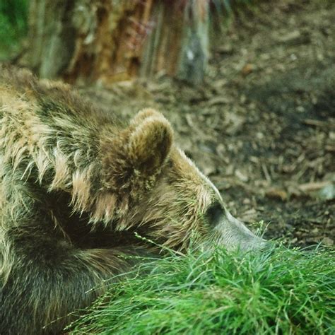 marcus nappo - YouTube