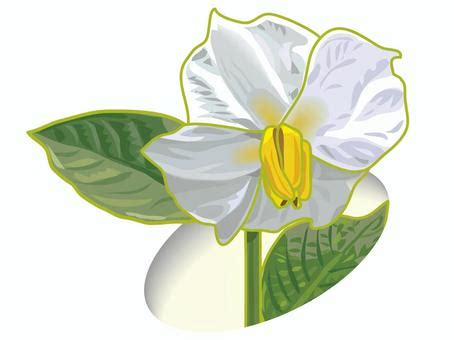 Image result for JavaScript Graphics Contest