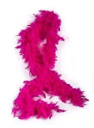 Party-Anthem Premium Double Feathers Pink Boa : Amazon.in: Toys & Games