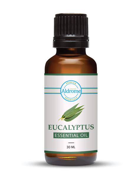 Eucalyptus.png?v=1765472532