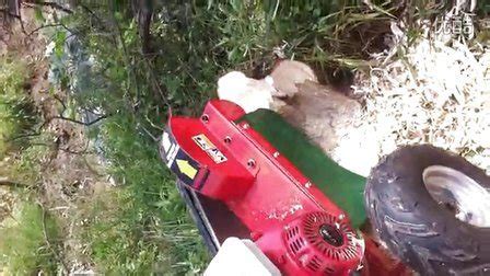 Image result for Tree Stump Grinder