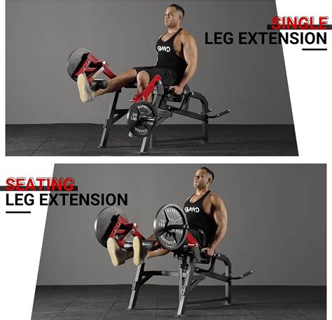 GMWD Leg Extension and Curl Machine, Single Leg Australia | Ubuy